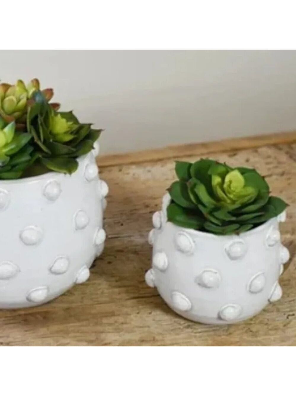 ($6) Ball Planter (Small)